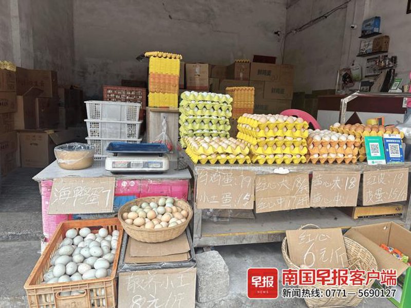 探寻农家土鸡蛋的魅力：一场绿色食品的盛宴